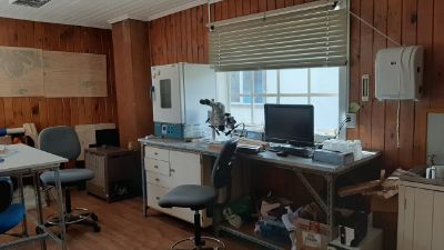 Catalina alcanzó a trabajar cerca de un mes presencialmente en el Laboratorio de Botánica del Instituto de la Patagonia de la UMAG, antes de que comenzara la cuarentena en Punta Arenas.