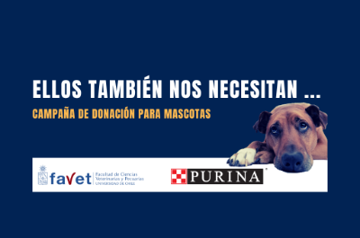 "Ellos también te necesitan", es el llamado de la alianza entre FAVET y Nestlé Purina para ayudar a las mascotas de La Pintana.