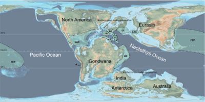 El trabajo permite a los investigadores reafirmar la hipótesis de una conexión entre la fauna marina del Atlántico norte y la del Hemisferio Sur durante el Jurásico Superior.