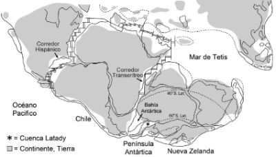 Este vínculo se habría dado a través del llamado "Corredor del Caribe", también conocido como "Corredor Hispánico", que habría permitido el flujo de animales oceánicos