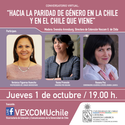 El panel virtual se transmitió por las redes de la Vicerrectoría de Extensión y Comunicaciones de la U. de Chile.