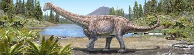El Arackar licanantay corresponde a una especie del grupo de los titanosaurios, animales herbívoros, cuadrúpedos, de cabeza pequeña y de cuello y cola larga.