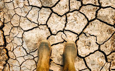 La sequía es una de las consecuencias del cambio climático. El reciente informe de Naciones Unida sostiene que la Tierra se ha calentado rápidamente 1,1 °C por encima de los niveles preindustriales. 