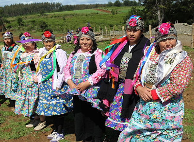 De la población mapuche se estudiarán muestras de sangre y de vesícula biliar, dada su alta prevalencia de cáncer en este órgano. 