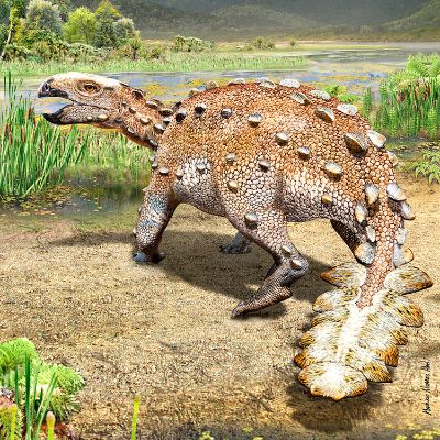 Stegouros elengassen es el nombre de este nueva especie de dinosaurio acorazado que vivió hace 74 millones de años en el territorio de la actual Patagonia que pertenecía al megacontinente Gondwana.
