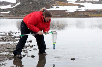 Este 2022 es el último año de ejecución del proyecto Anillo Genomics Antarctic Biodiversity (GAB), iniciativa encabezada por los profesores de la Universidad de Chile Elie Poulin y Julieta Orlando.