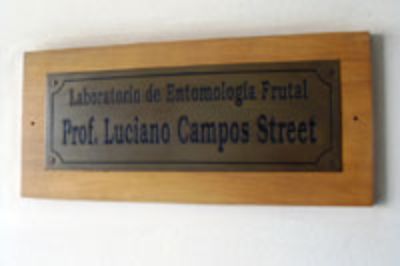 Laboratorio de Entomología Frutal.