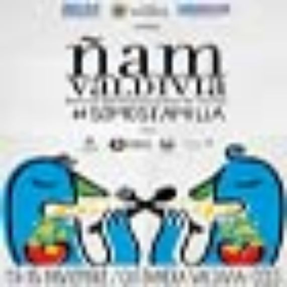 Del 13 al 15 de noviembre se desarrolló en la ciudad de Valdivia el Festival ÑAM