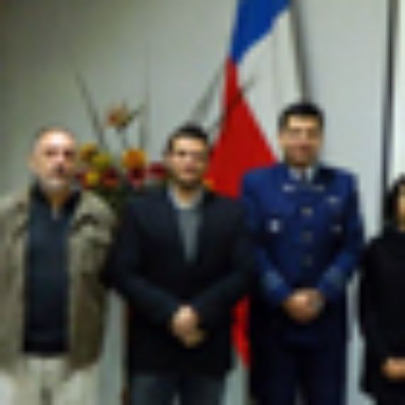 Dr. Flavio Ponzoni (INPE); Dr. Cristian Mattar (Lab- UChile); CDI, Hernán Tello (GOE FACH); MSc. Carolina Barrientos (SAF-FACH).