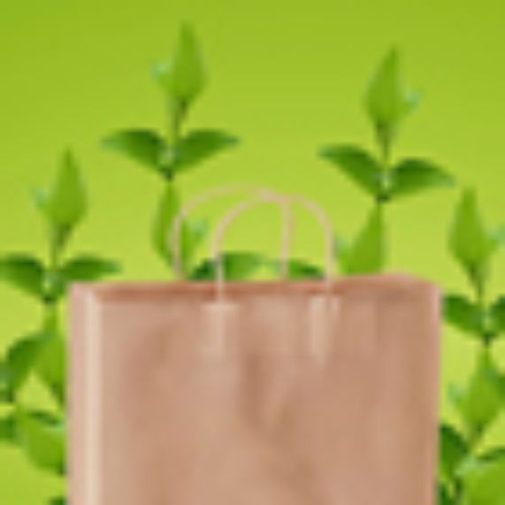 Dia de la Tierra, entre bolsas biodegradables y el consumismo