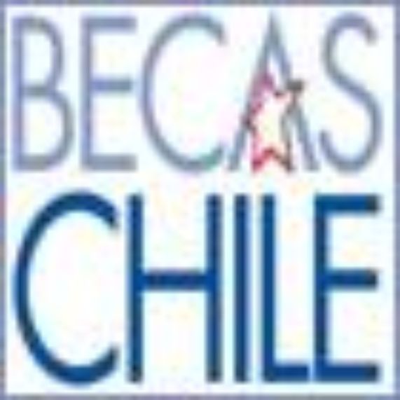 Becas Chile: 46 egresados estudiarán en programas en el extranjero
