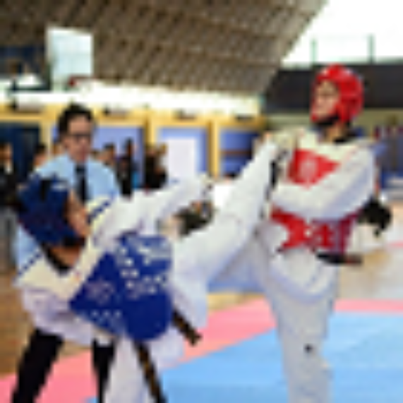 U. de Chile y UMCE organizaron campeonatos nacionales de balonmano y taekwondo