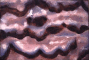 f-129g.gif (21517 bytes)