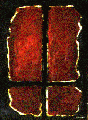 f-227g.gif (9420 bytes)