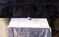 f-110c.gif (7388 bytes)