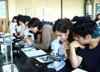Los alumnos tuvieron clases en aula, en laboratorios y en terreno.