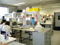En funcionamiento desde el año 2003, el Laboratorio de Biología Periodontal reúne trabajos de investigación en Periodoncia, Endodoncia y Patología, entre otras disciplinas.
