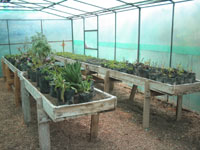 El Jardín cuenta con un invernadero con hortalizas, y se prepara para formar un vivero.
