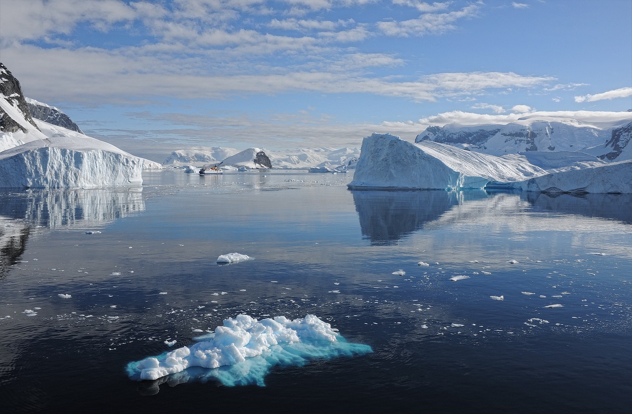 El estudio apuntó a reforzar la temática antártica en las carreras vinculadas a las materias que mayor incidencia tienen en la identidad nacional.