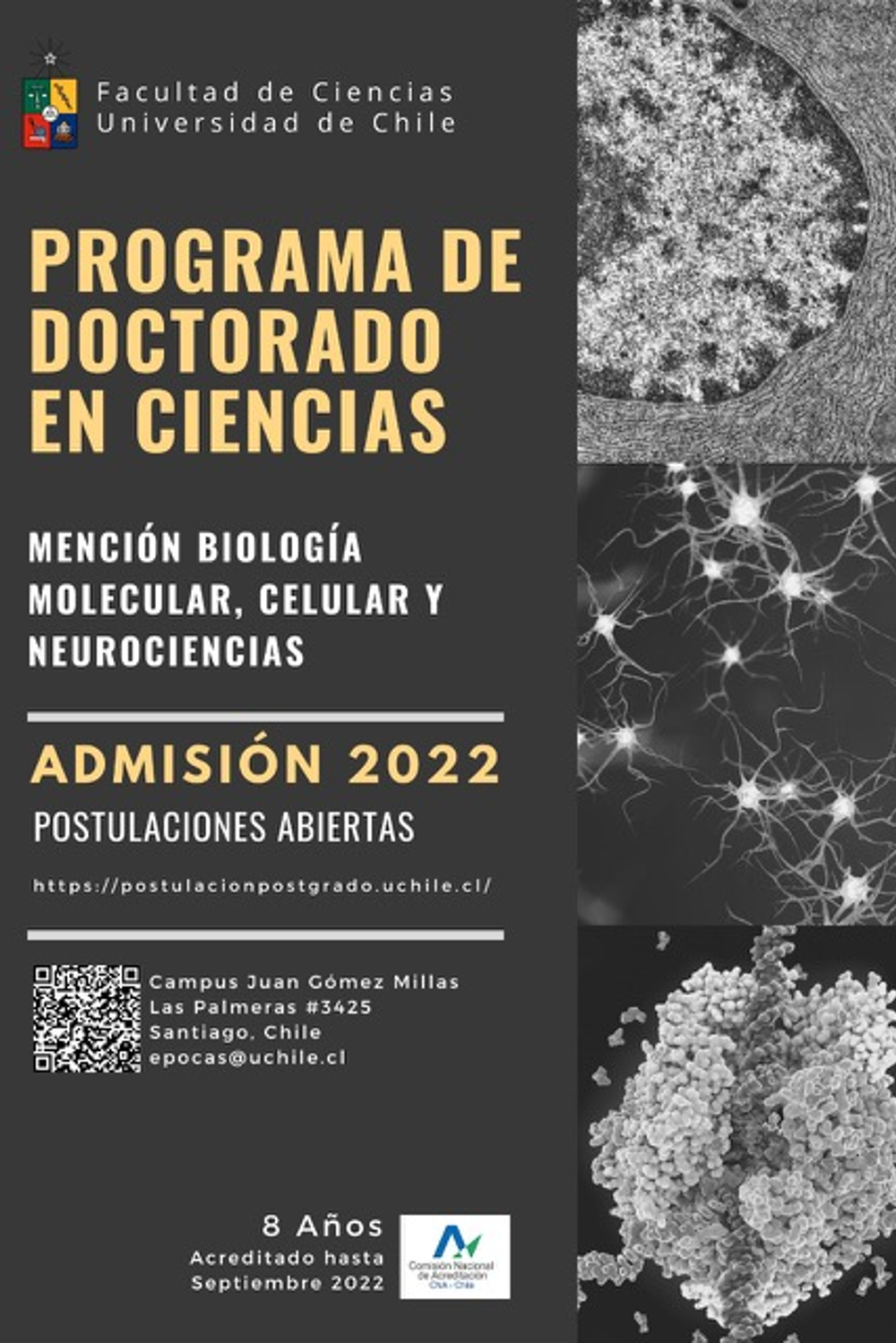 Doctorado En Ciencias Mención Biología Molecular Celular Y Neurociencias Universidad De Chile