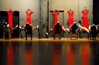 781 asistentes tuvo "Pies Pa Volar" durante el 2008 y como si no bastara con haber obtenido el premio a la mejor coreografía del año, su director, Andrés Cárdenas, compite por el Premio Altazor 2009.