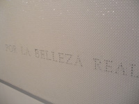 Cerca de 40 mil lentejuelas blancas sobre una superficie rígida conforman esta obra de María Jesús Román.
