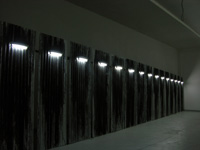 "Pintura Negra" se montó por primera vez en el Museo de Arte Contemporáneo en el año 2005. "Esa exposición era un bloque de 15 placas, de 2 metros y medio de altura, más otros 2 bloques de 5 metros".
