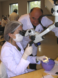 Prof. Dr. Sergio Acosta, Director del Programa, durante la ejecución del Taller de Microscopía aplicada a la Endodoncia.