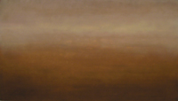 Sin título, serie de Paisaje Colonial óleo sobre tela 114cm x 200cm, 2006, forma parte de la muestra.