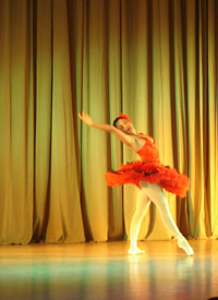 Trece obras de diversas técnicas conformaron la exitosa presentación llevada a cabo por estudiantes del Departamento de Danza en dependencias de Carabineros de Chile. 