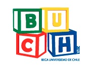 ¡Postula hasta el 2 de noviembre a Beca U. de Chile 2013!