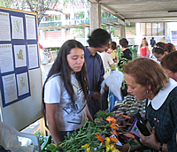 Stand Primera Feria de Vida Saludable 2005