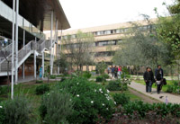 A partir de este 2009, el Collegium Musicum dell Campus Juan Gómez Millas será patrocinado por la Facultad de Artes, facilitando una sala para ensayos en las dependencias de la sede Las Encinas.