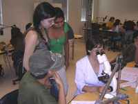 Los alumnos del Curso de Microbiología trabajaron directamente en el Laboratorio de Preclínicos de la Facultad de Odontología.