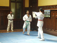 Alumnos del Instituto realizaron una demostración de Taekwondo