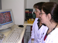 La Dra. Patricia Palma, junto a la Dra. Marta Gajardo analizan las muestras enviadas al laboratorio y conservan un importante registro visual de los casos examinados.