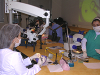 Con 46 años de trayectoria, el Programa de Especialización en Endodoncia entrena a sus alumnos con la más avanzada tecnología de la microscopía aplicada a la especialidad.