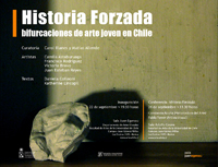 Historia forzada: sobre bifurcaciones del arte joven en Chile.