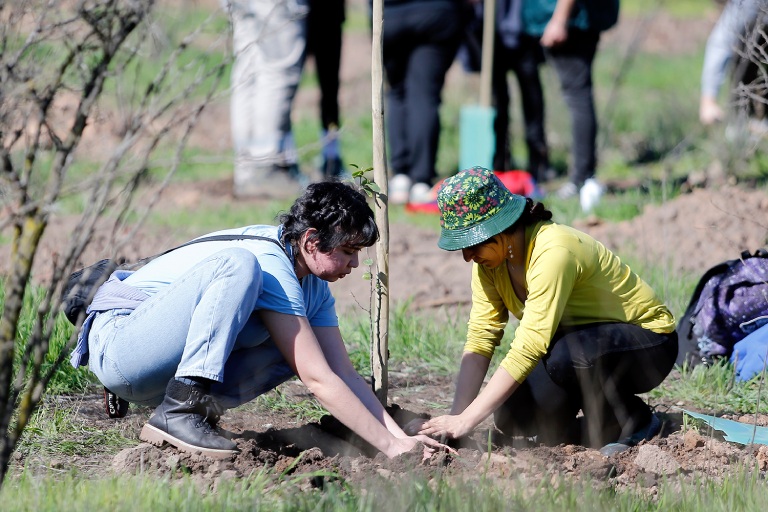 Las y los estudiantes de la Facultad participaron de la plantación masiva de árboles nativos en el Parque Carén.