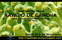 La intervención visual "Rayado de Cancha", se realizará este lunes 3 de diciembre en la cancha Calama del campus Juan Gómez Millas.